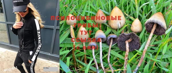 винт Армянск