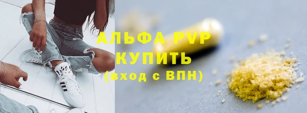 гашик Алексин