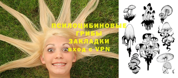 гашик Алексин