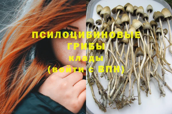 винт Армянск