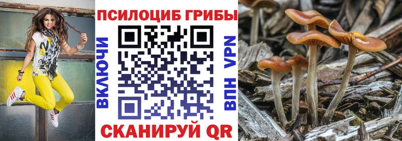 Галлюциногенные грибы Psilocybe  Армянск 